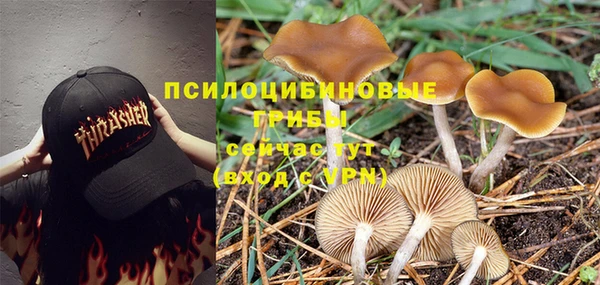прущая мука Бронницы