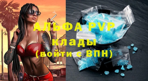 спайс Бородино