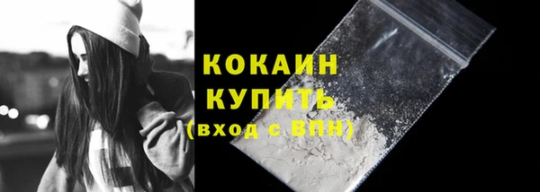 спайс Бородино
