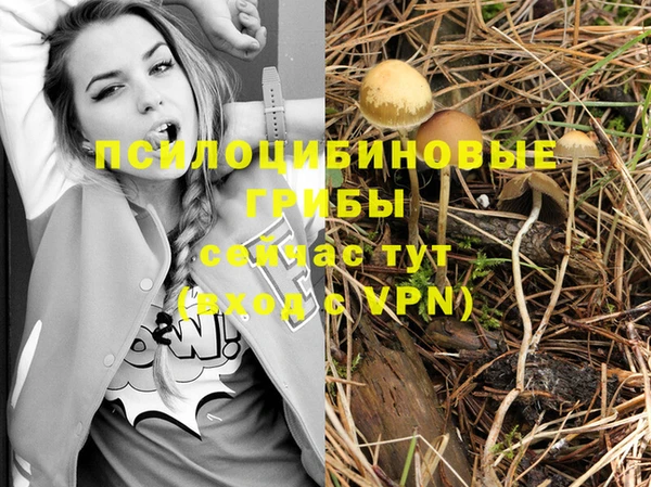 ГАЛЛЮЦИНОГЕННЫЕ ГРИБЫ Бугульма