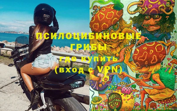 ГАЛЛЮЦИНОГЕННЫЕ ГРИБЫ Бугульма