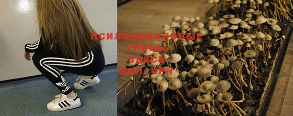 спайс Бородино