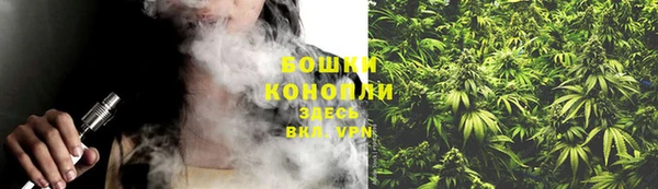 спайс Бородино
