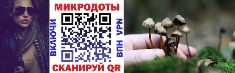 Купить закладки  Старая Купавна  Псилоцибиновые грибы MAGIC MUSHROOMS 